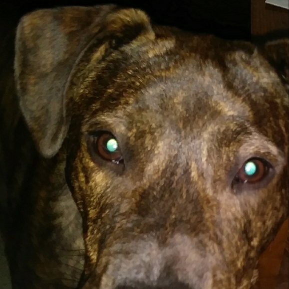 Meet your Posher, Adrienne - Picture 1 of 1